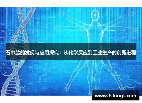 石中盐的发现与应用探究：从化学反应到工业生产的创新进程